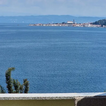 Del Golfo *