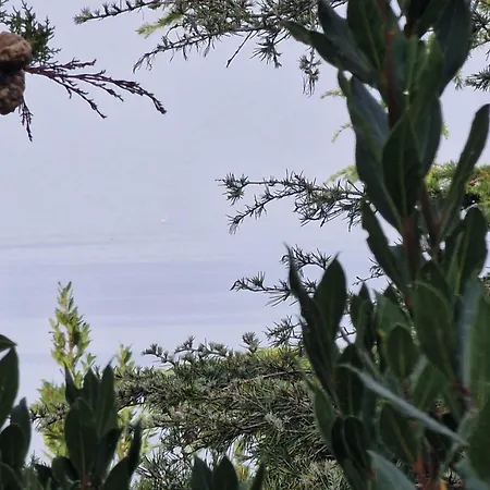 Del Golfo Apartment *