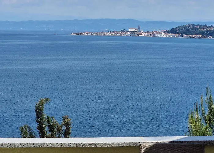 Del Golfo *