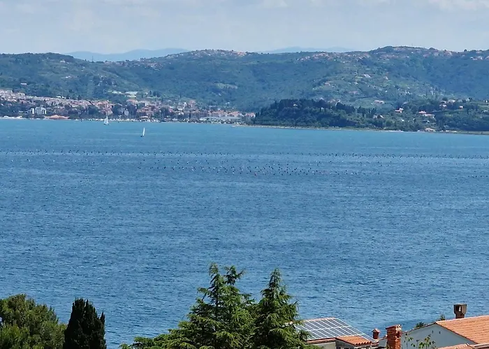 아파트 Del Golfo