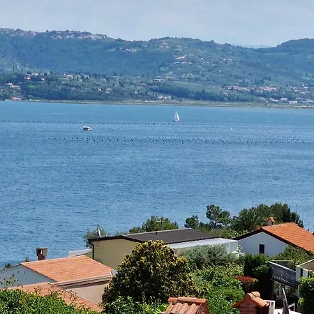 Del Golfo Apartment Savudrija