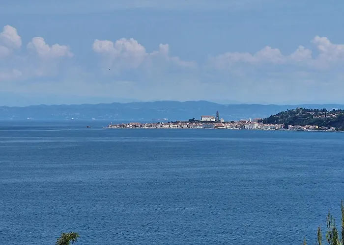 Del Golfo Apartmán Savudrija