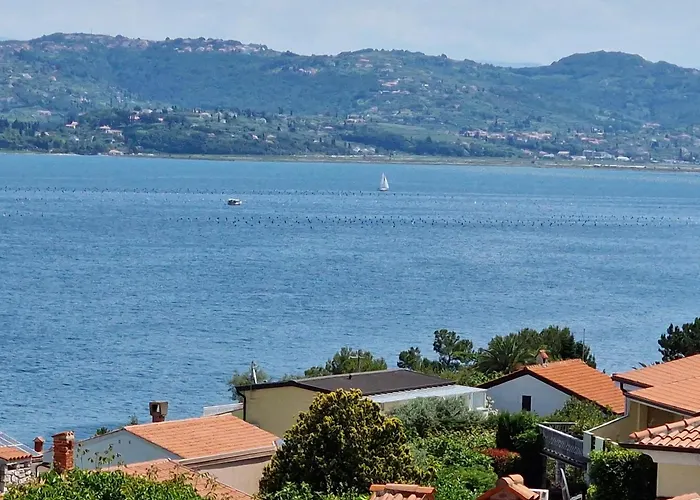 Del Golfo Apartmán Savudrija